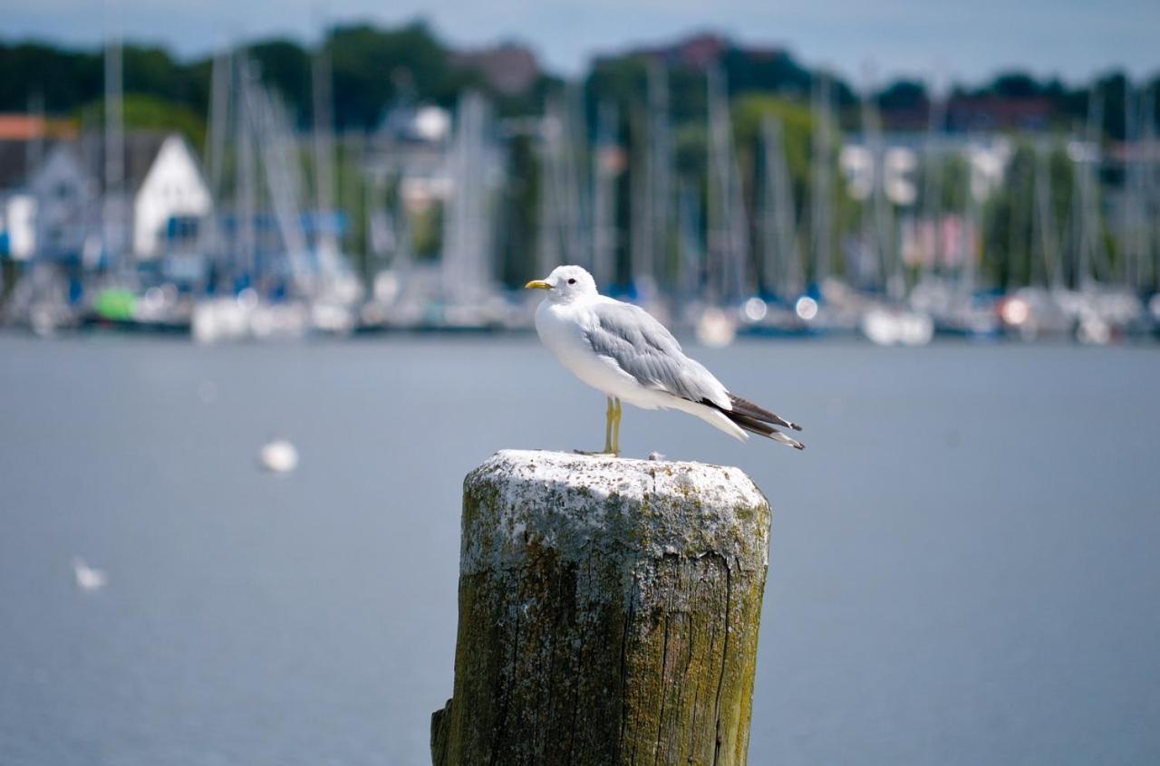 Hygge Schleswig Daire Dış mekan fotoğraf